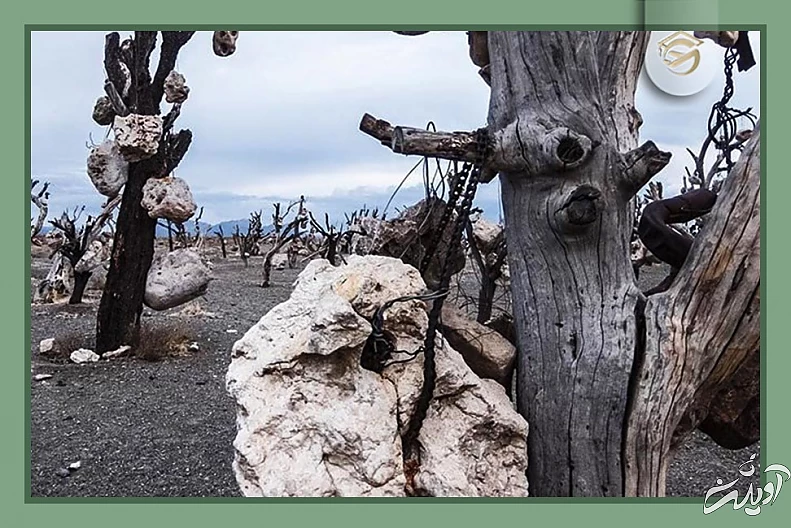 راز‌هایی از مخوف‌ترین مکان‌های ایران که سفر به آن‌ها دل و جرات می‌خواهد؛ از جهنم دره تا تالاب مرموز ارواح + تصاویر